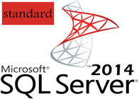 Padrão global do servidor 2014 do SQL da licença da chave de Digitas