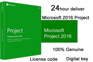 Microsoft Project Professional 2016 Key