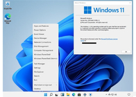 Software do retalho da casa de Microsoft Windows 11 do software do sistema operacional da casa da vitória 11