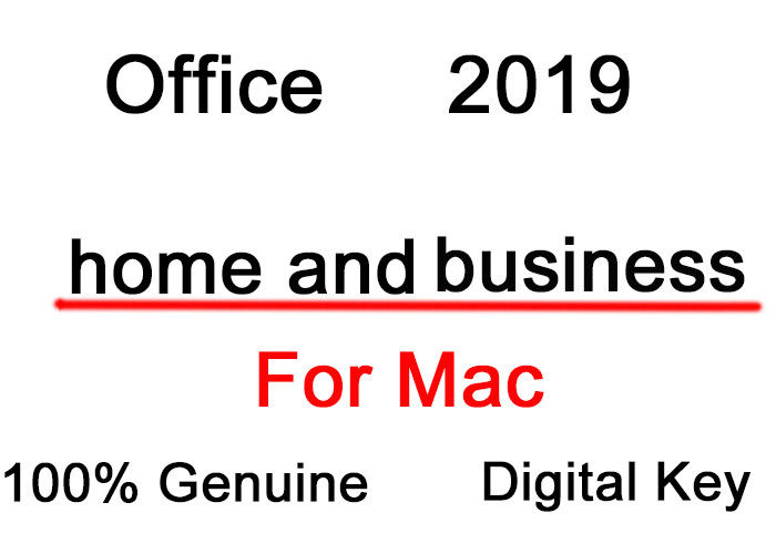 Escritório 2019 PP Unbinded 1 escritório 2019 do PC pro mais Retail/MSDN